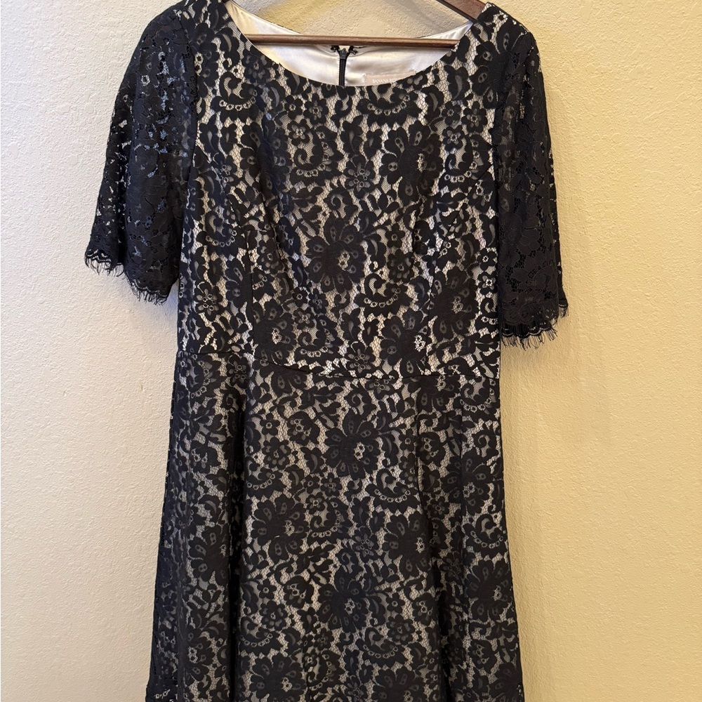 Black lace over white satin Banana Republic knee length dress.